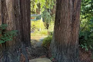 1445 Austin Creek Rd, Cazadero, CA 95421 - Photo 26