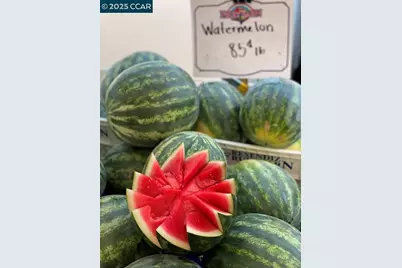 2933 Ptarmigan Dr #3, Walnut Creek, CA 94595 - Photo 48