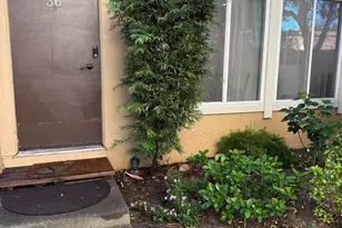 3055 Treat Blvd, Concord, CA 94518 - Photo 1