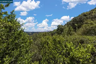 37 La Madronal, Orinda, CA 94563 - Photo 14