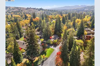 441 Sycamore Hill Dr, Danville, CA 94526 - Photo 42