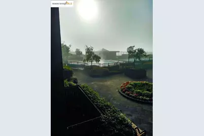 555 Pierce St #226, Albany, CA 94706 - Photo 12