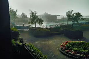 555 Pierce St, Albany, CA 94706 - Photo 12