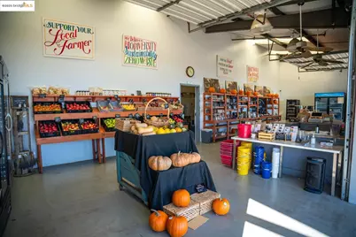 2017 Walnut Blvd, Brentwood, CA 94513 - Photo 4