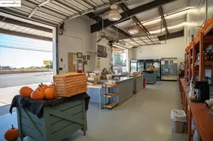 2017 Walnut Blvd, Brentwood, CA 94513 - Photo 30