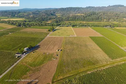 838 Dry Creek, Healdsburg, CA 95448 - Photo 16