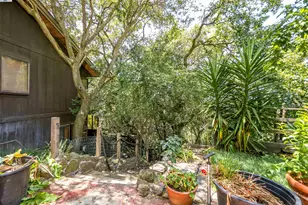 21 Red Rock Way, San Rafael, CA 94903 - Photo 38