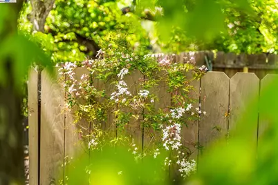 484 El Pintado Rd, Danville, CA 94526 - Photo 58