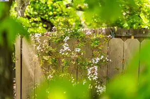 484 El Pintado Rd, Danville, CA 94526 - Photo 58