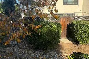 6649 Bunker Hill Ct, San Jose, CA 95120 - Photo 8