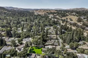 81 Jackson Way, Alamo, CA 94507 - Photo 8