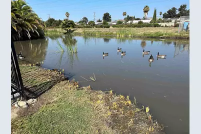 35 Eagle Green, Fremont, CA 94538 - Photo 44