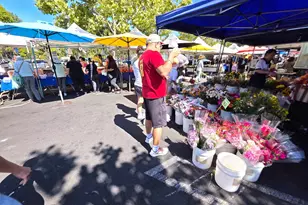 10468 West Ct, Oakland, CA 94603 - Photo 52