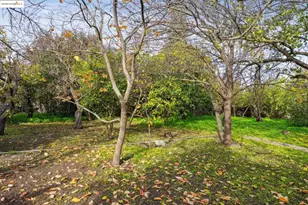 348 Dowling Blvd, San Leandro, CA 94577 - Photo 36