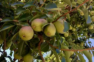 348 Dowling Blvd, San Leandro, CA 94577 - Photo 54