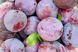 348 Dowling Blvd, San Leandro, CA 94577 - Photo 50