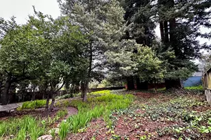 6014 La Salle Ave, Oakland, CA 94611 - Photo 24