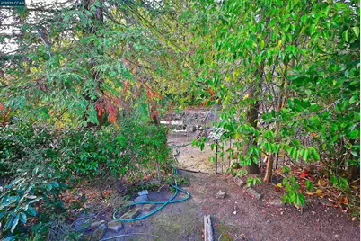 3160 Walnut Blvd, Walnut Creek, CA 94597 - Photo 20