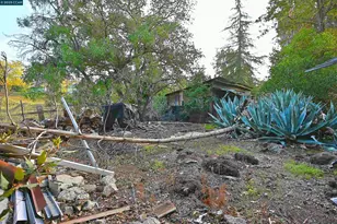 3160 Walnut Blvd, Walnut Creek, CA 94597 - Photo 22