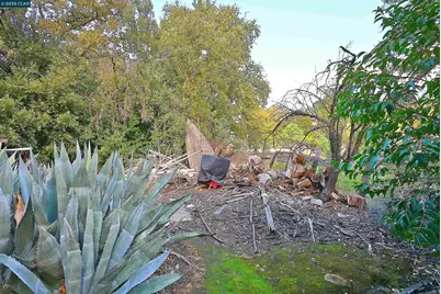 3160 Walnut Blvd, Walnut Creek, CA 94597 - Photo 24