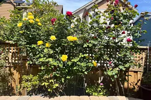 2036 Serra Ln, Hercules, CA 94547 - Photo 38