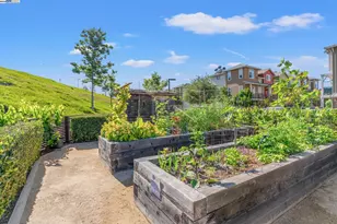 849 Tranquility Cir, Livermore, CA 94551 - Photo 52