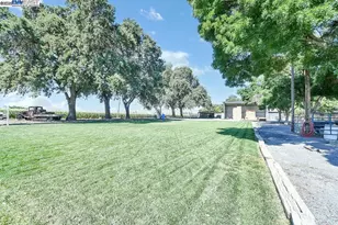 3335 Kellogg Creek Rd, Byron, CA 94514 - Photo 56