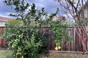 1824 Harding Ct, Antioch, CA 94509 - Photo 24