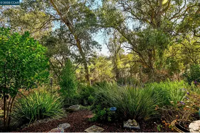 1566 Ashwood Dr, Martinez, CA 94553 - Photo 30