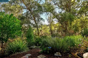 1566 Ashwood Dr, Martinez, CA 94553 - Photo 30