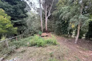 322 Arthur Ave, Aptos, CA 95003 - Photo 28