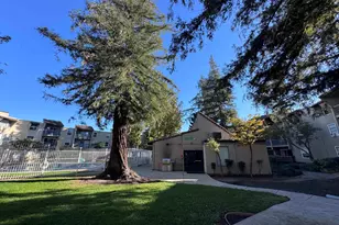 1087 Murrieta Blvd, Livermore, CA 94550 - Photo 20