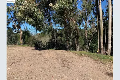 89 Starkville Ct, Orinda, CA 94563 - Photo 4