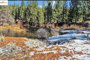 2524 Cattlemans Trail, South Lake Tahoe, CA 96150 - Photo 46