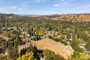 80 Dot Dr, Alamo, CA 94507 - Photo 6