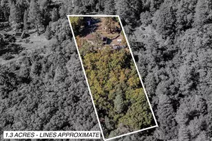 14900 Williams Rd, Pioneer, CA 95666 - Photo 4