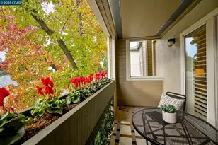 2550 Oak Rd, Walnut Creek, CA 94596 - Photo 12