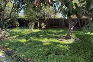 815 Central Ave, Pittsburg, CA 94565 - Photo 12