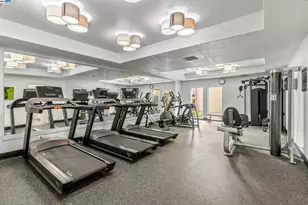 1321 Webster St, Alameda, CA 94501 - Photo 14