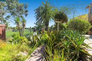 5541 Lanai Ct, Discovery Bay, CA 94505 - Photo 26