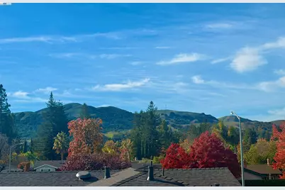 9985 Windsor Way, San Ramon, CA 94583 - Photo 24