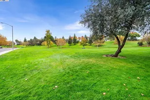 2864 El Capitan Dr, Pleasanton, CA 94566 - Photo 44