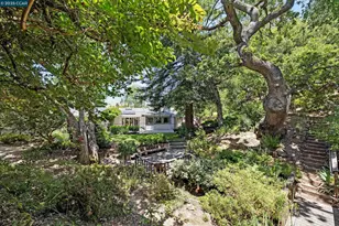 345 Shire Oaks Ct, Lafayette, CA 94549 - Photo 8