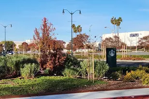 137 Diablo Ct, Pleasant Hill, CA 94523 - Photo 50