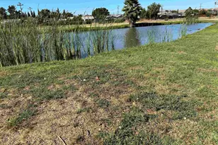 319 Winnipeg Green, Fremont, CA 94538 - Photo 44