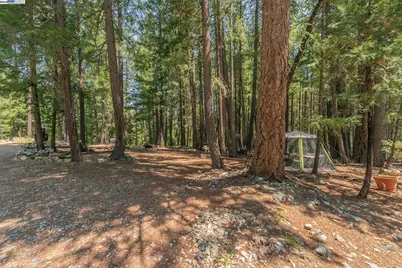 1371 Eagle Creek Loop Rd, Coffee, CA 96091 - Photo 20