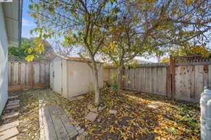 6449 Cedar Blvd, Newark, CA 94560 - Photo 24