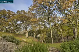 2748 Ptarmigan Dr, Walnut Creek, CA 94595 - Photo 22