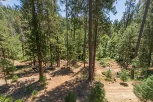 4298 Little Browns Creek Rd, Weaverville, CA 96093 - Photo 30