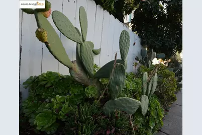 1633 8th St, Oakland, CA 94607 - Photo 54